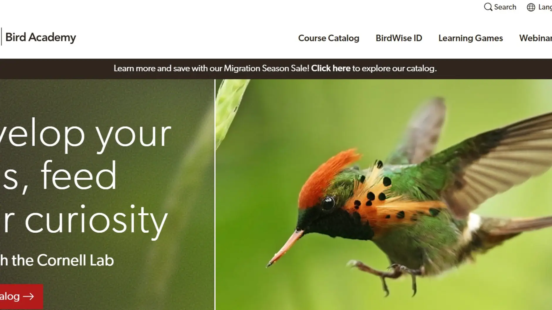 Screenshot of the Cornell Bird Academy home page.