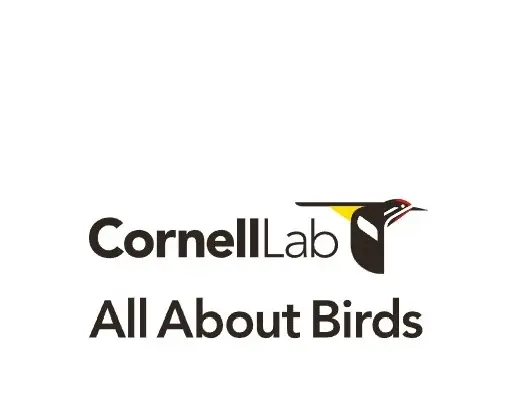 Screenshot of All About Birds' home page logo.