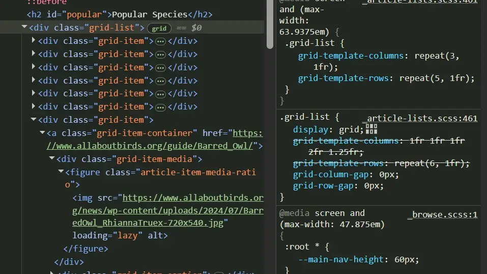 Screenshot of code that shows how grid is being used for the bird pictures within Popular Species.
