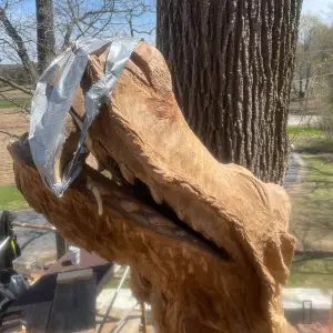 Large, on-site dragon with teeth being added on.